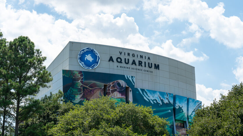 Virginia Aquarium, Oceanfront, Virginia Beach Area