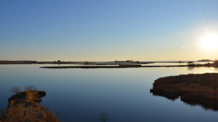 Back Bay National Wildlife Refuge