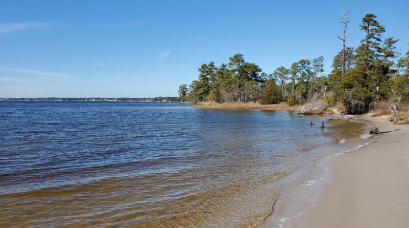 First Landing State Park in virginia beach