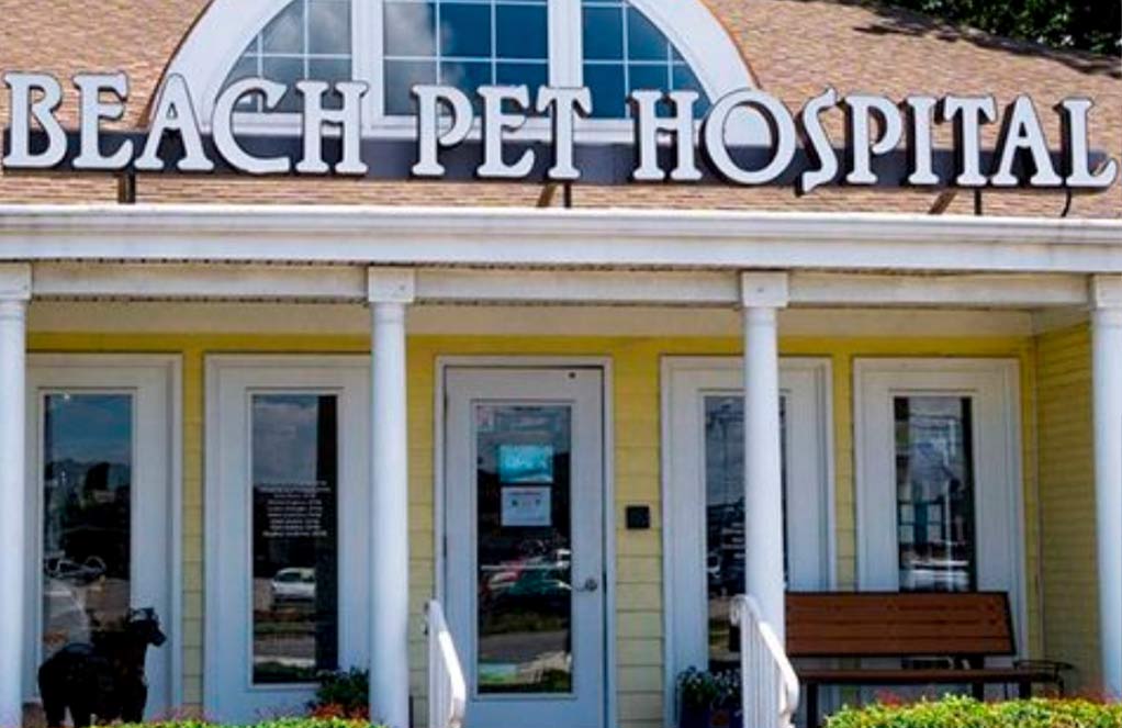 Beach Pet Hospital near great neck virginia beach