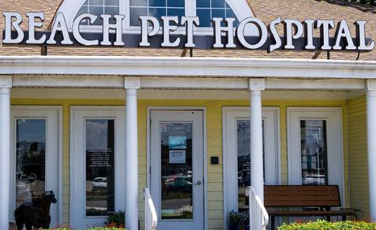 Beach Pet Hospital near great neck virginia beach