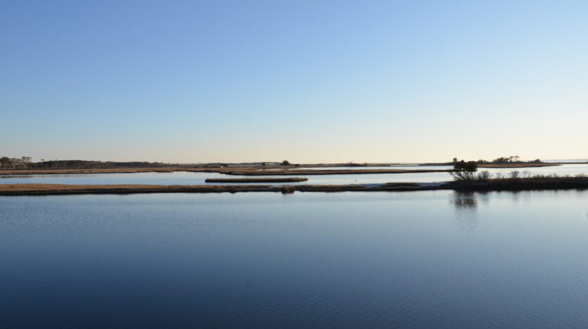 sandbrige virginia beach parks